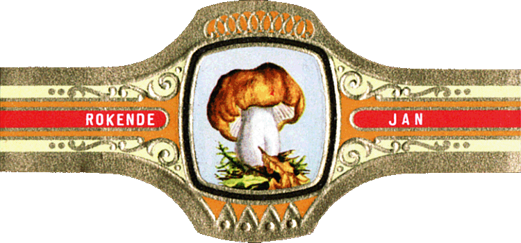 Bauchbinde
