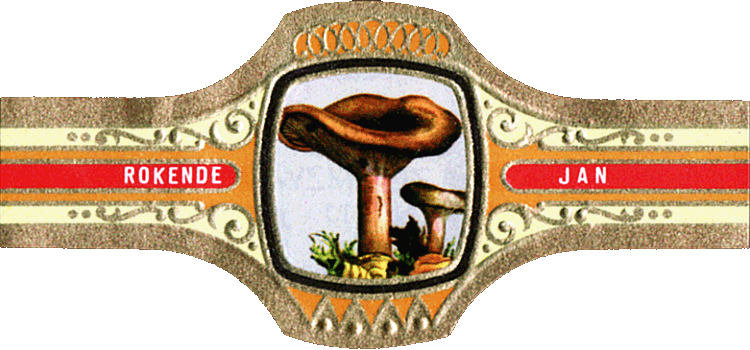 Bauchbinde