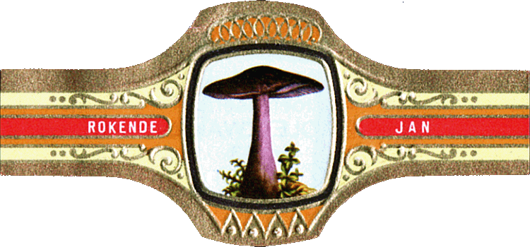 Bauchbinde