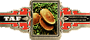 Bauchbinde