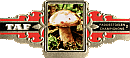 Bauchbinde
