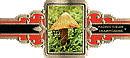 Bauchbinde