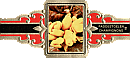 Bauchbinde