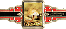 Bauchbinde