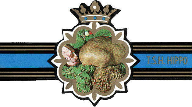 Bauchbinde