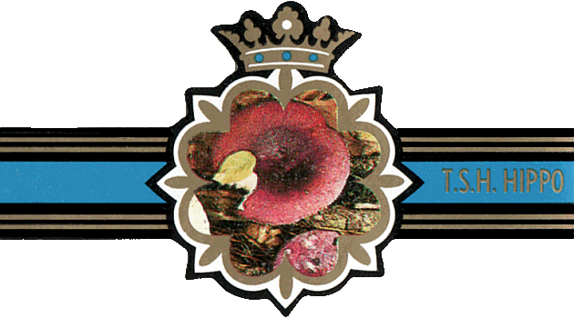 Bauchbinde