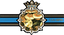 Bauchbinde