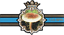 Bauchbinde