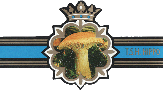 Bauchbinde