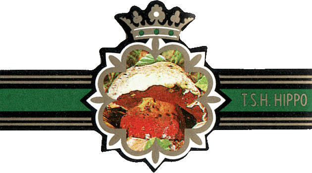 Bauchbinde