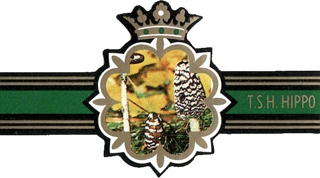 Bauchbinde