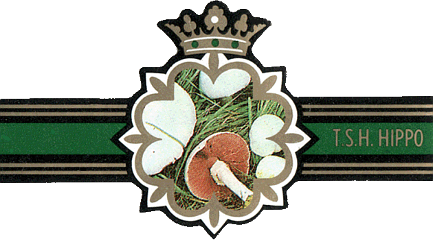 Bauchbinde