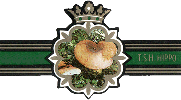 Bauchbinde