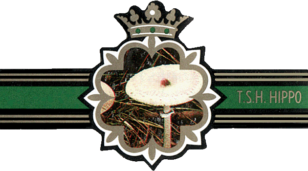 Bauchbinde