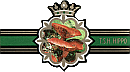 Bauchbinde