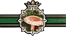 Bauchbinde