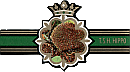 Bauchbinde