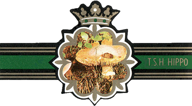 Bauchbinde