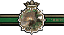 Bauchbinde