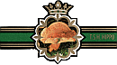 Bauchbinde