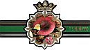 Bauchbinde