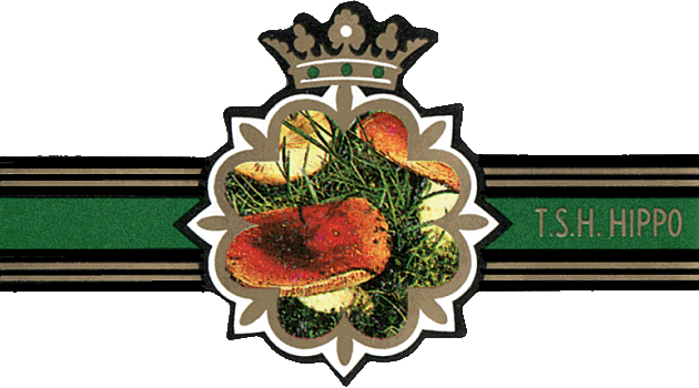 Bauchbinde