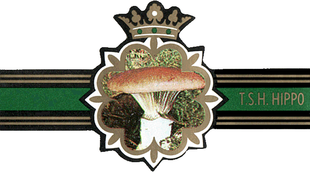 Bauchbinde
