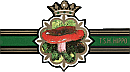Bauchbinde