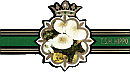 Bauchbinde