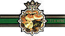 Bauchbinde