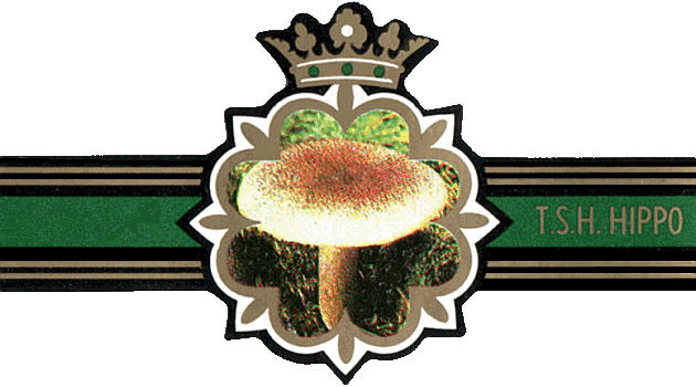 Bauchbinde