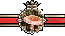Bauchbinde