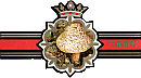 Bauchbinde