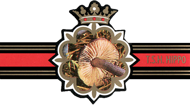 Bauchbinde