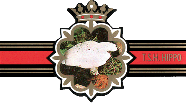 Bauchbinde