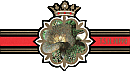 Bauchbinde
