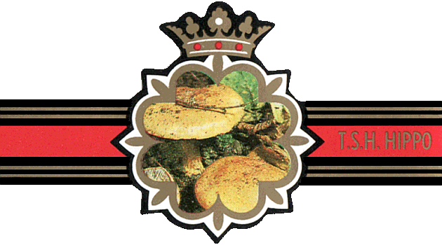 Bauchbinde