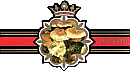 Bauchbinde