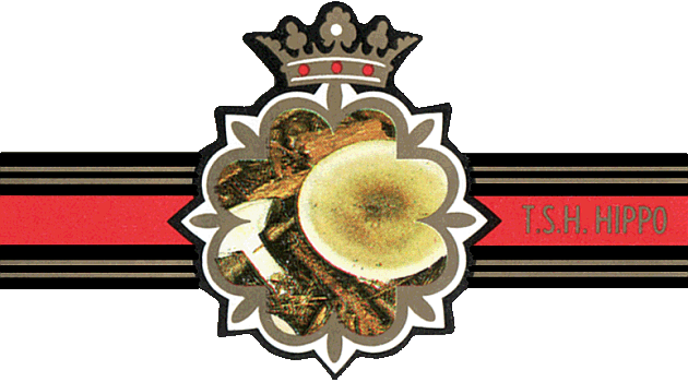 Bauchbinde