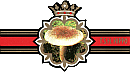 Bauchbinde