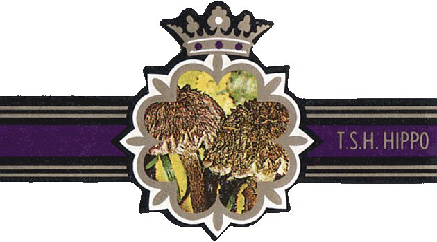 Bauchbinde