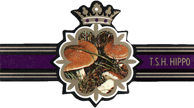 Bauchbinde
