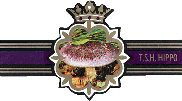 Bauchbinde