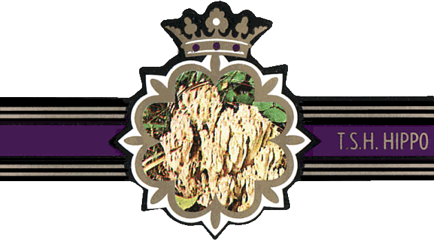 Bauchbinde
