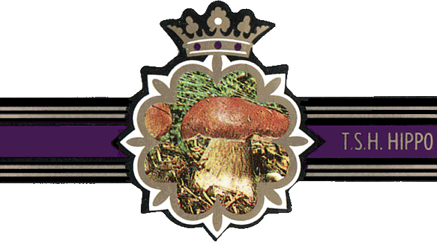 Bauchbinde