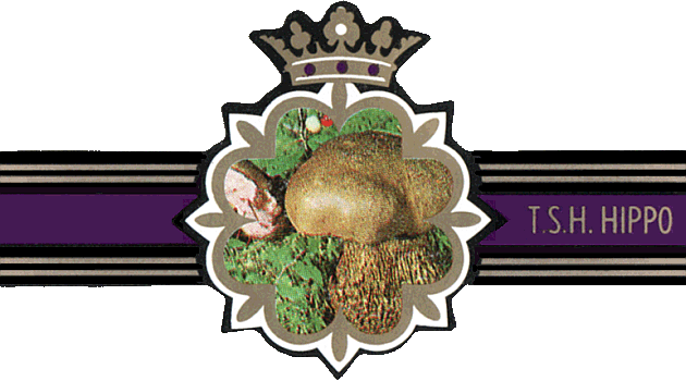 Bauchbinde