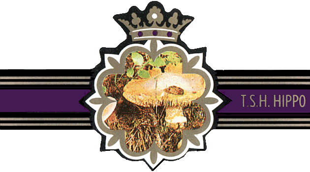 Bauchbinde