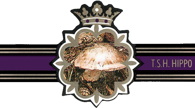 Bauchbinde