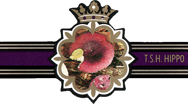 Bauchbinde