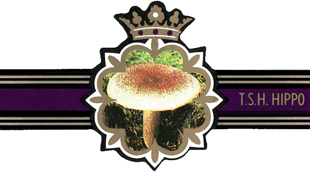 Bauchbinde